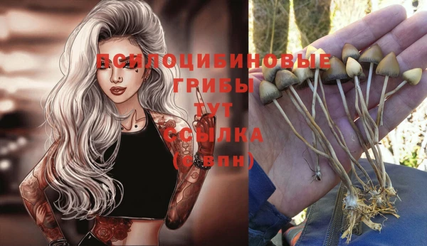 не бодяженный Белая Холуница
