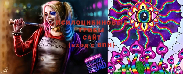 PSILOCYBIN Белая Калитва